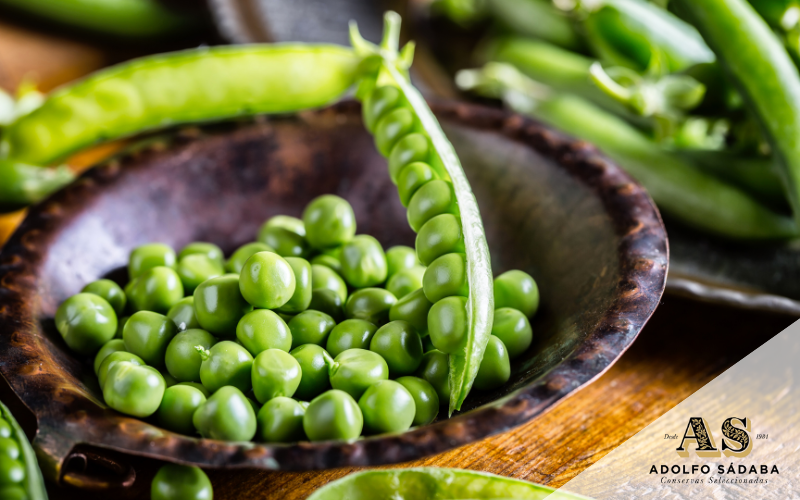Conservas Vegetales de Navarra Adolfo Sádaba